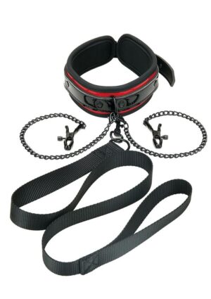 Whipsmart Heartbreakers Deluxe Collar